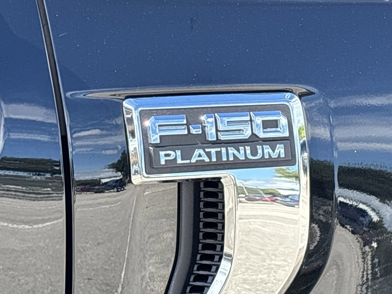 2023 Ford F-150 Platinum photo 8