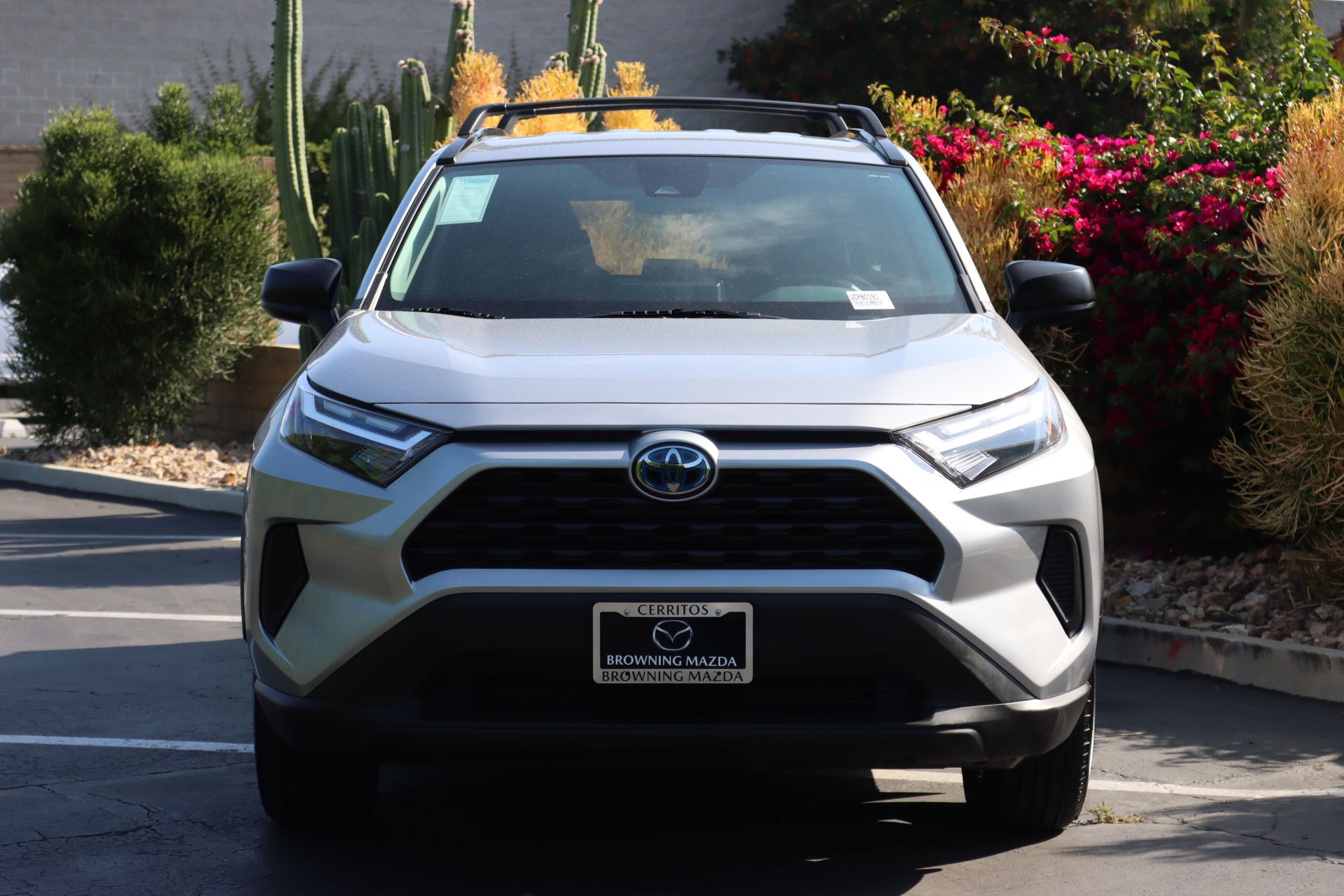 2024 Toyota RAV4 Hybrid LE photo 3