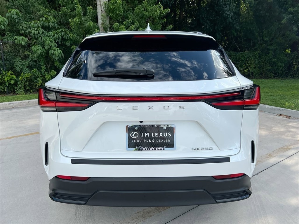 2024 Lexus NX 250 photo 6