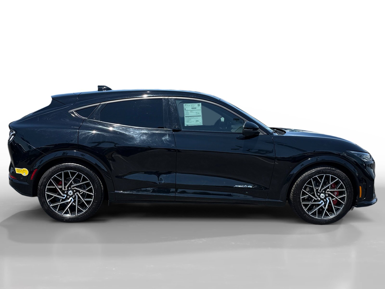2022 Ford Mustang Mach-E GT photo 6