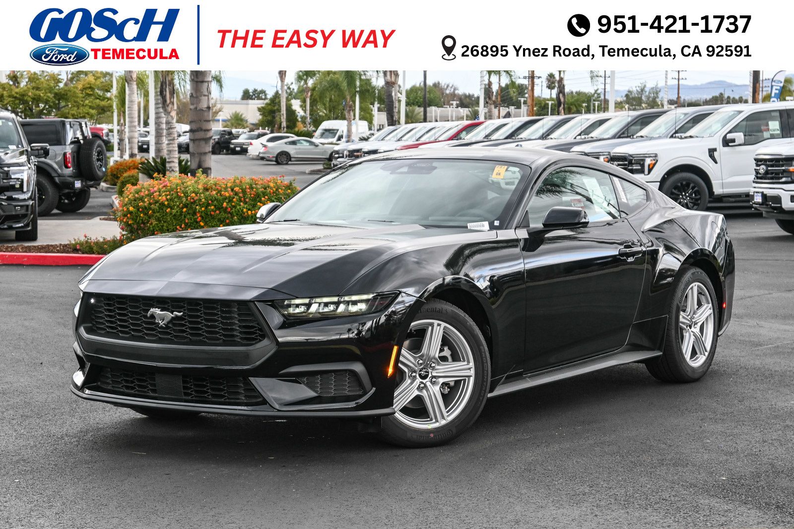 2026 Ford Mustang EcoBoost's photo