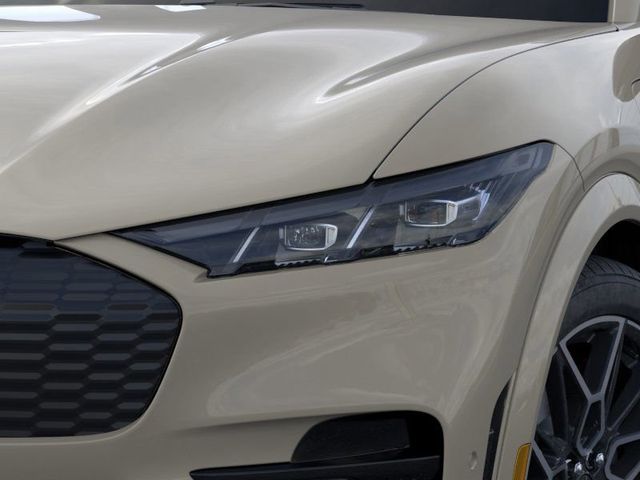 2025 Ford Mustang Mach-E GT photo 6