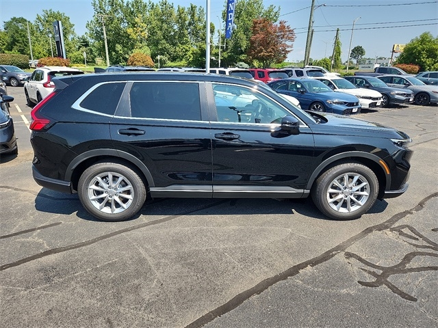 2026 Honda CR-V EX photo 6