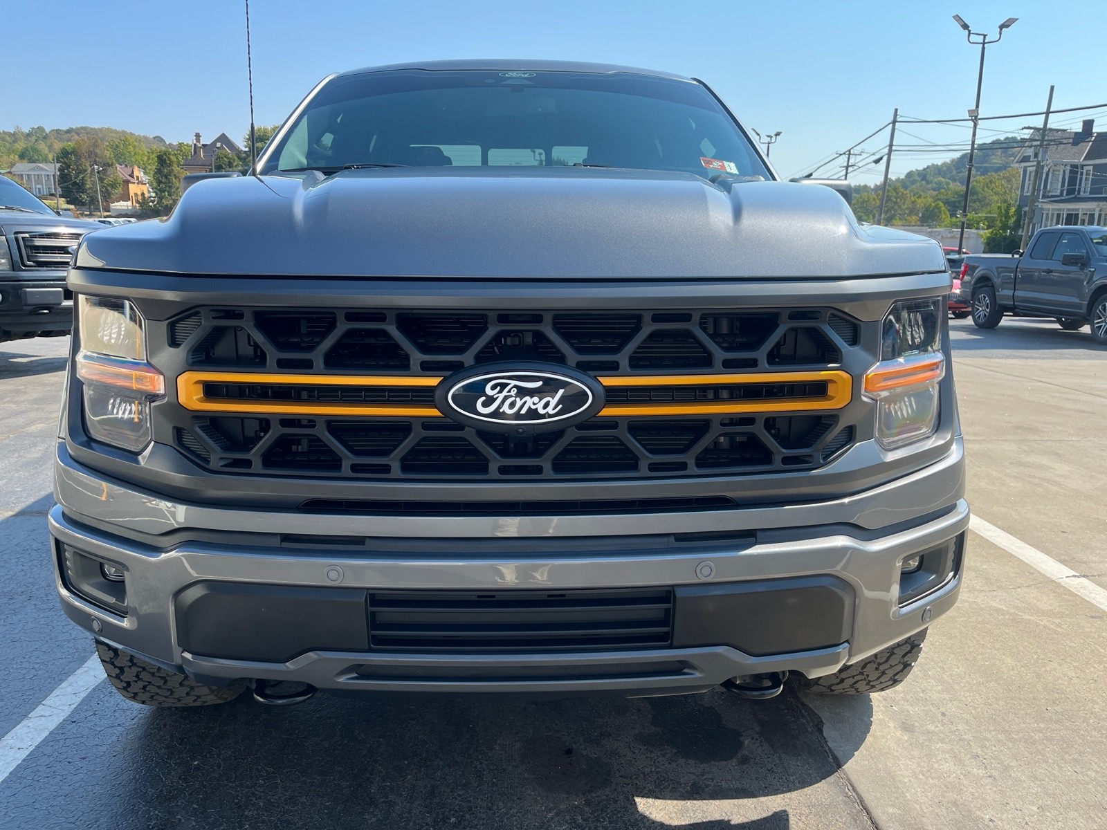 2025 Ford F-150 Tremor photo 14