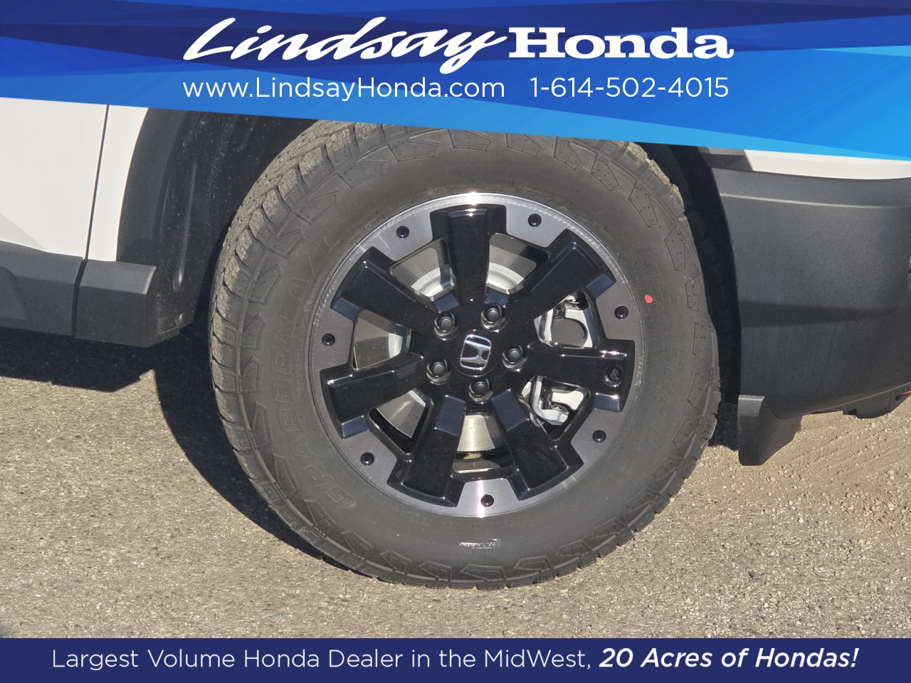 2026 Honda Passport TrailSport Elite photo 6