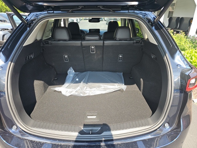 2025 Mazda CX-5 2.5 Premium Plus photo 15