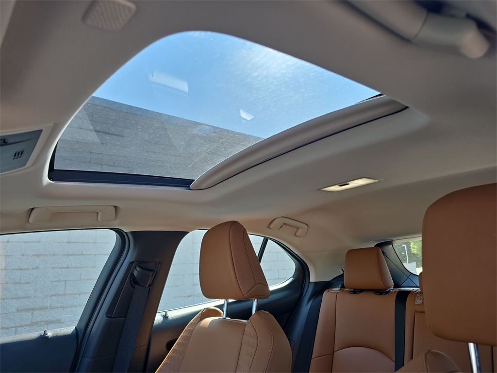 2022 Lexus UX 250h photo 15