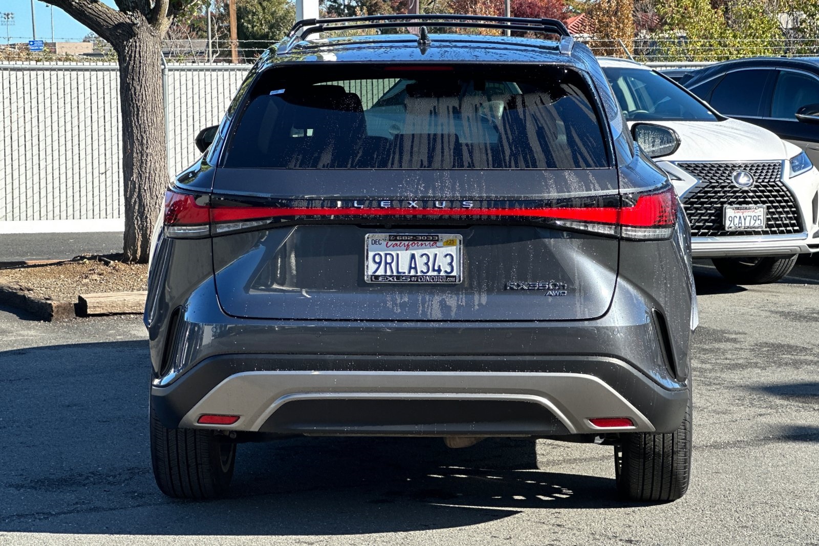 2025 Lexus RX 350h Premium photo 3