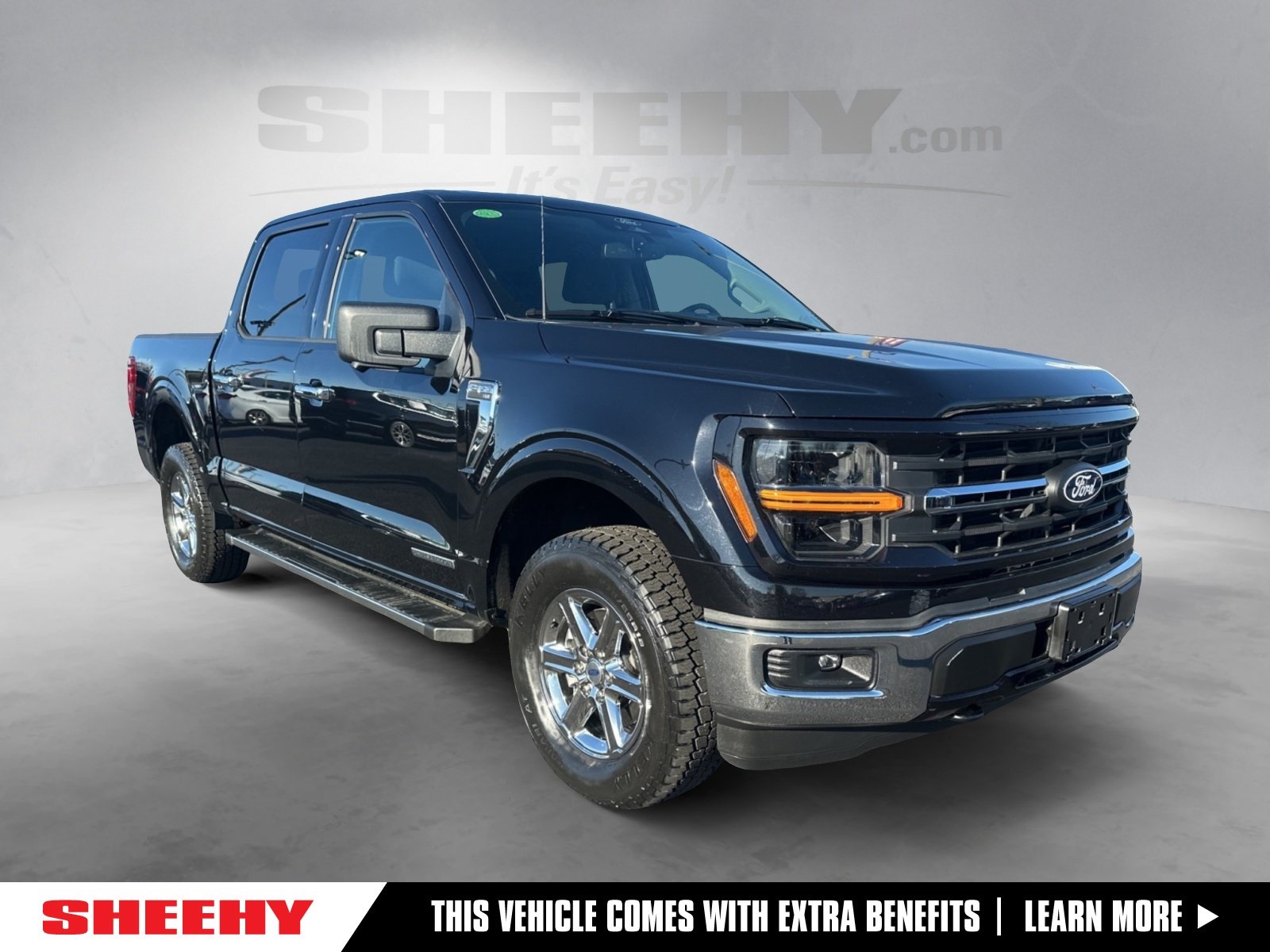 2024 Ford F-150 XLT's photo