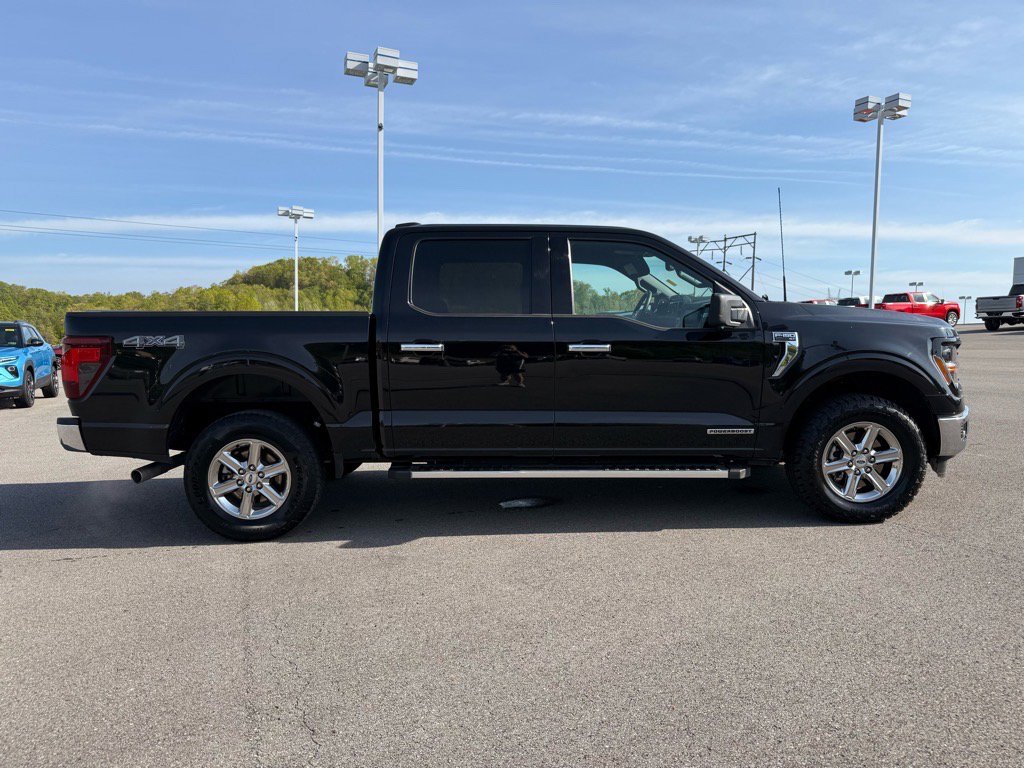 2024 Ford F-150 XLT photo 5