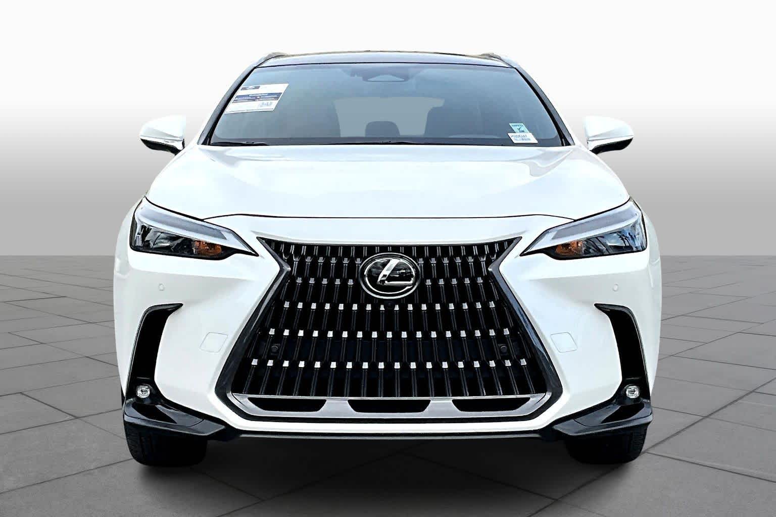 2023 Lexus NX Luxury photo 2