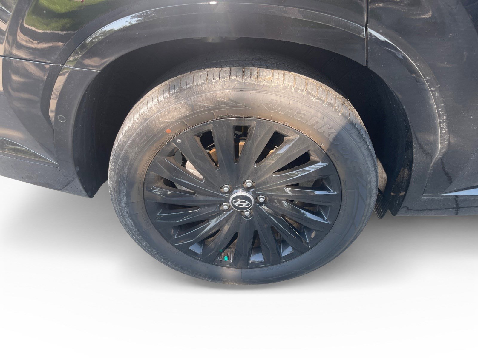 2025 Hyundai Palisade Calligraphy photo 14