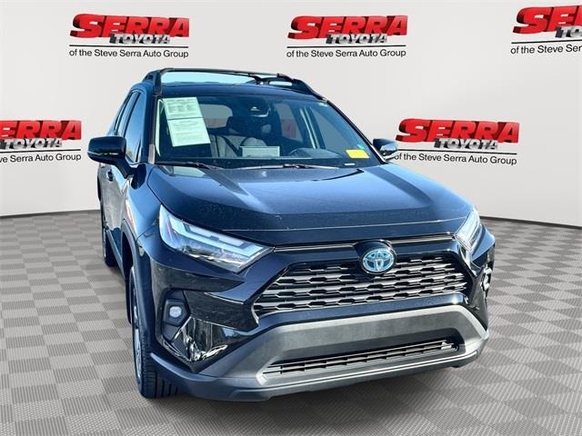 2023 Toyota RAV4 Woodland Edition's photo