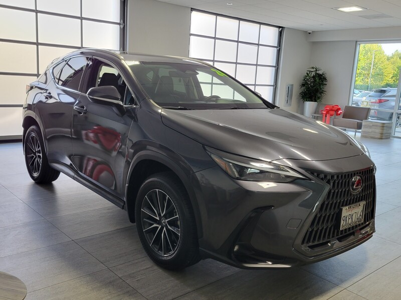2024 Lexus NX 250 photo 6