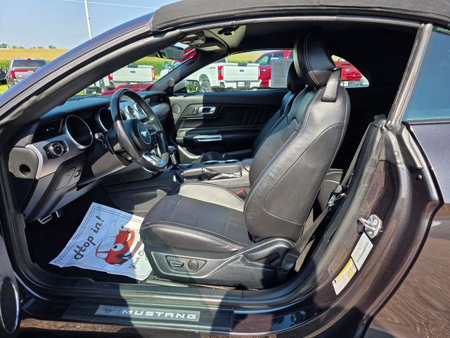 2023 Ford Mustang EcoBoost Premium photo 5