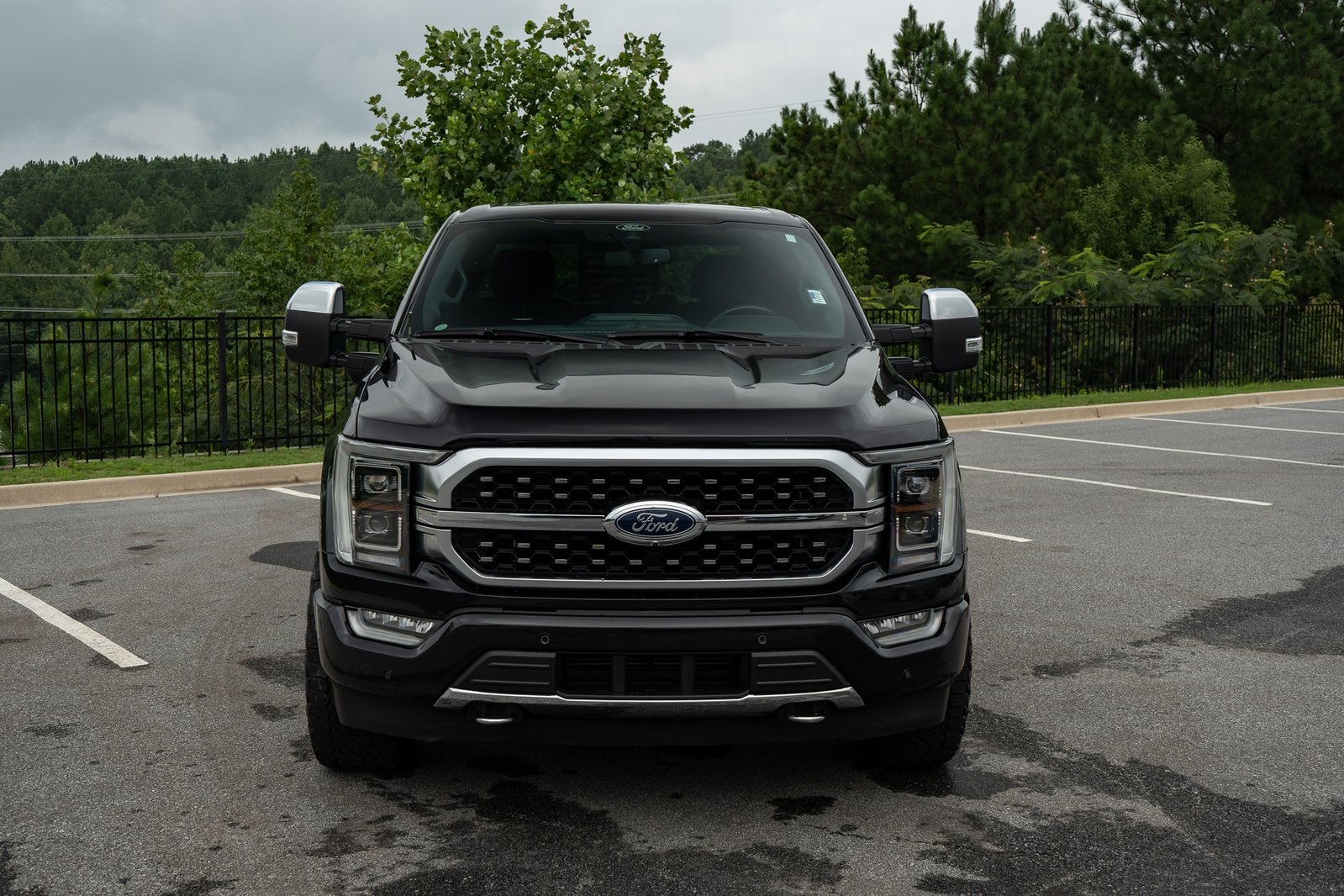 2021 Ford F-150 Platinum photo 2