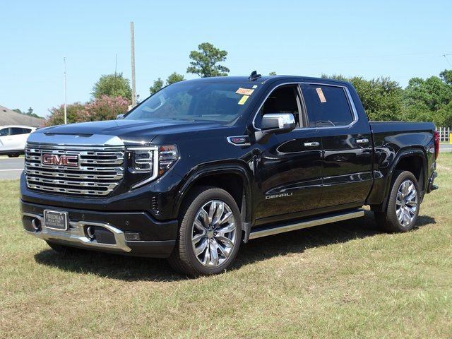 2024 Gmc Sierra 1500 Denali photo 2