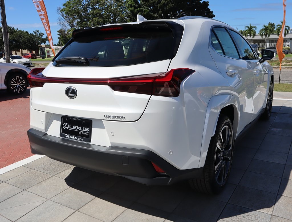2025 Lexus UX photo 18