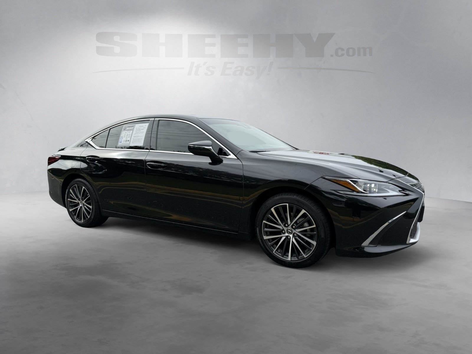2025 Lexus ES 300h photo 2