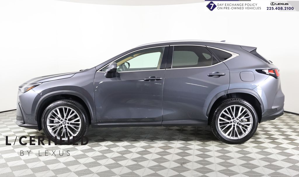 2025 Lexus NX 350's photo