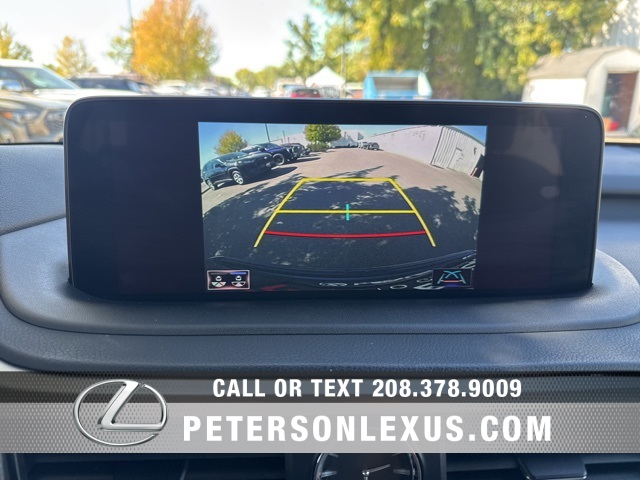 2020 Lexus RX 450h photo 9