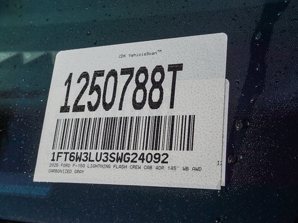2025 Ford F-150 Lightning photo 22