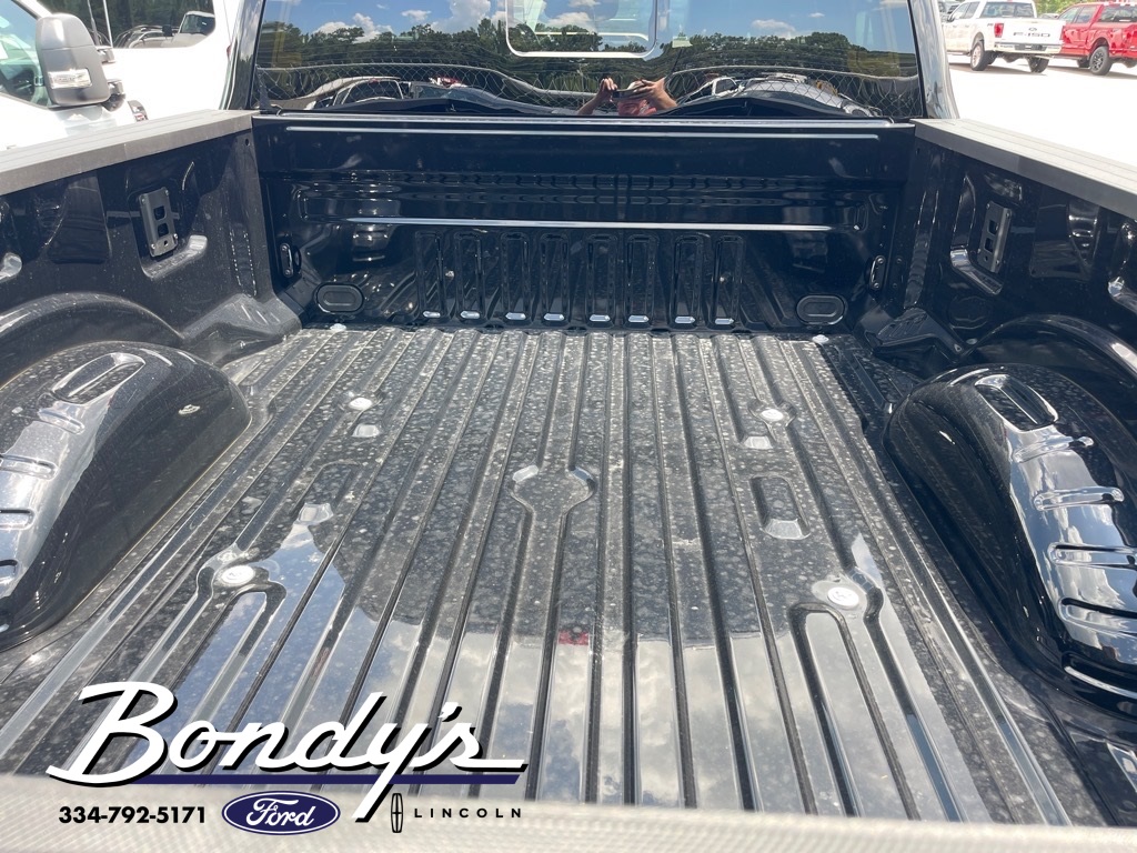 2025 Ford F-250 King Ranch photo 10