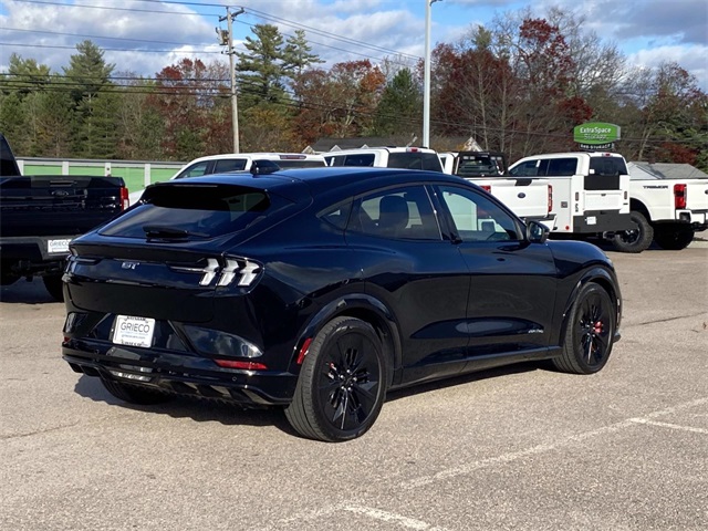 2025 Ford Mustang Mach-E GT photo 3