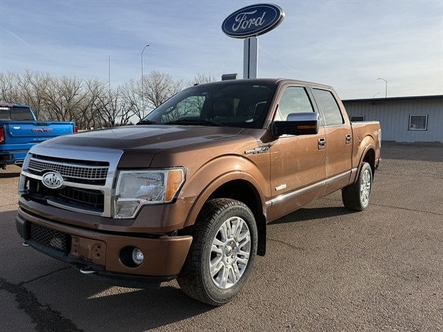 2011 Ford F-150 Platinum's photo