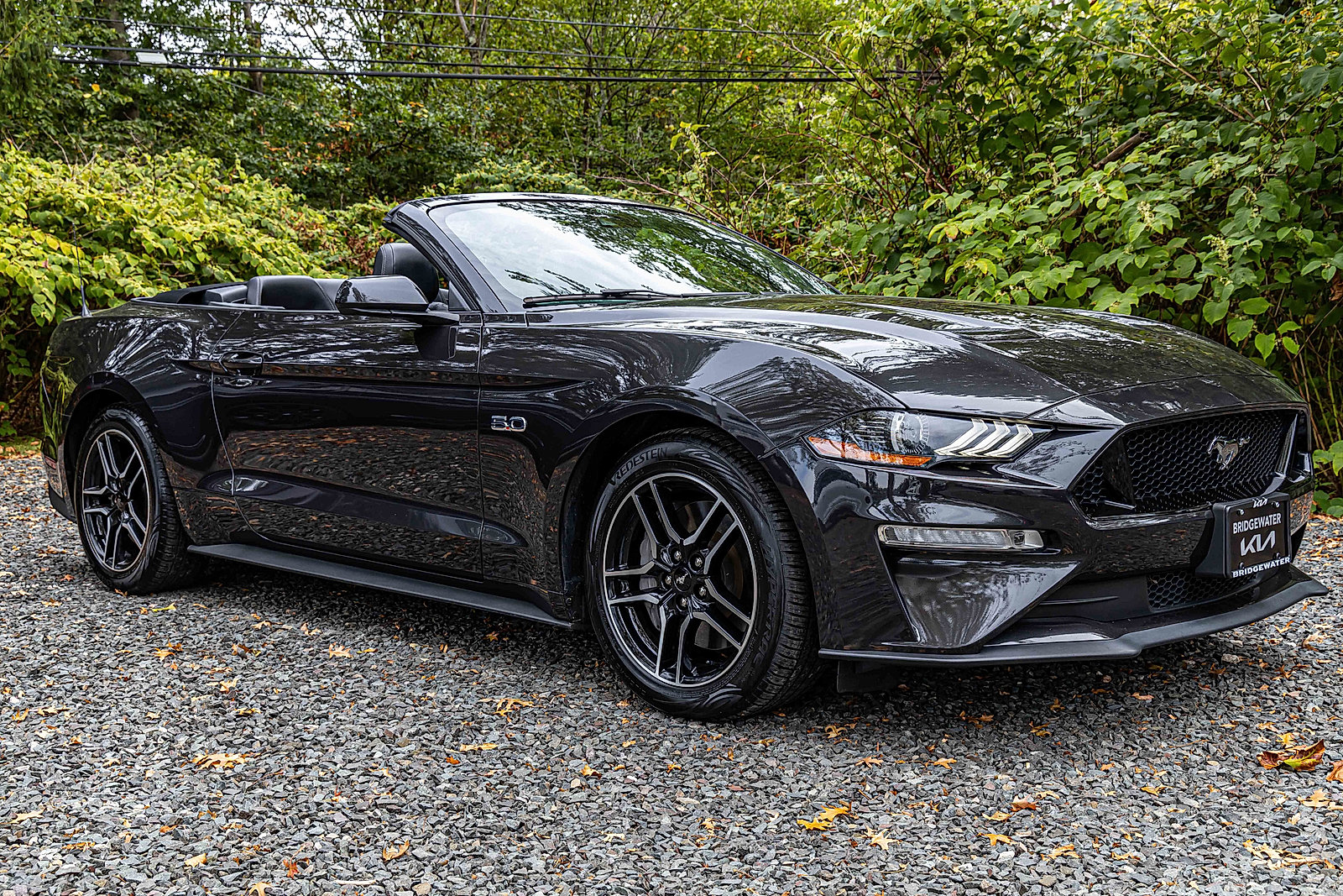 2022 Ford Mustang GT Premium photo 2