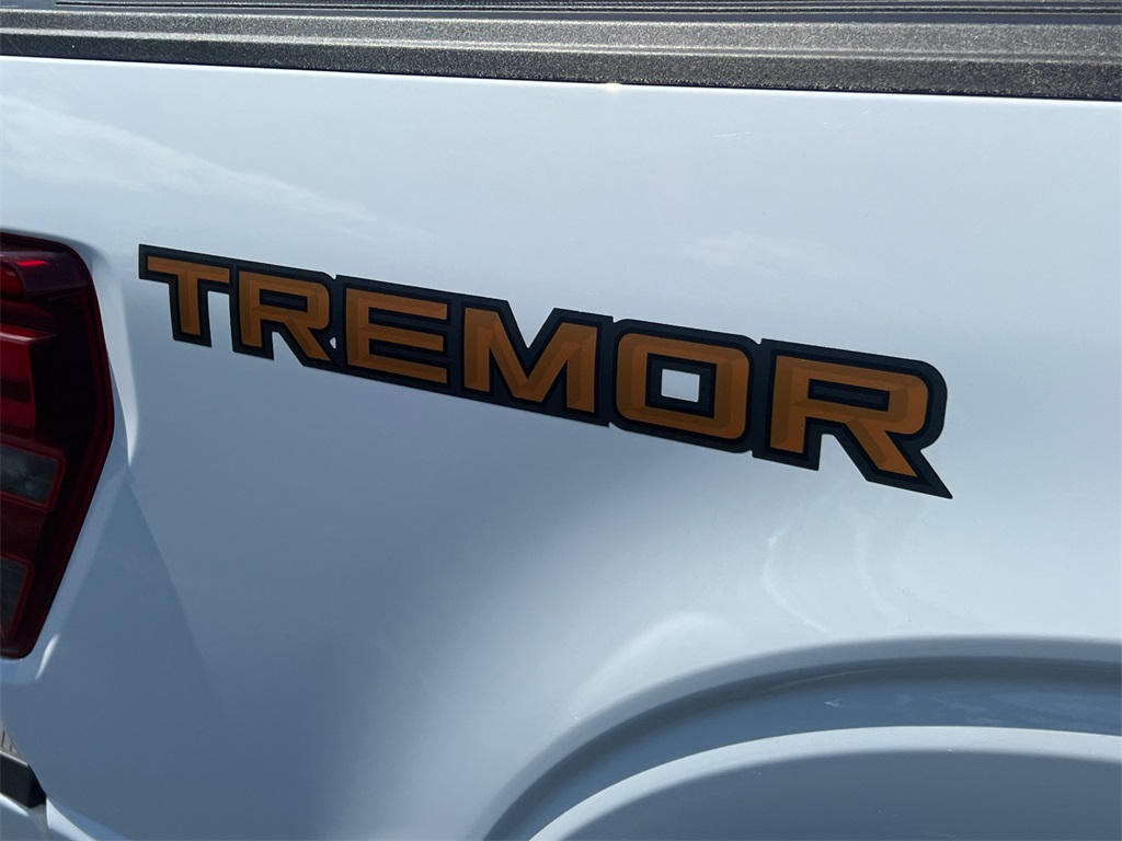 2024 Ford F-150 Tremor photo 18