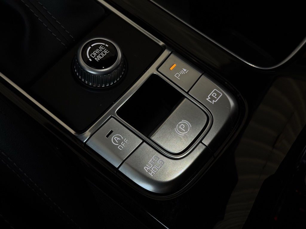 2024 Kia Telluride SX photo 31
