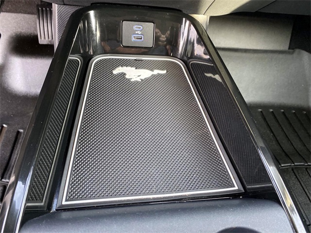 2021 Ford Mustang Mach-E Select photo 14