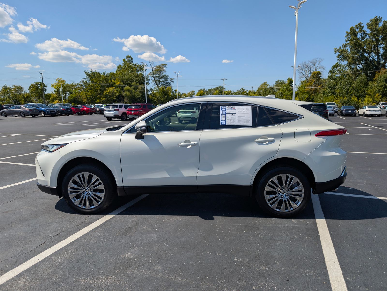 2022 Toyota Venza XLE photo 3