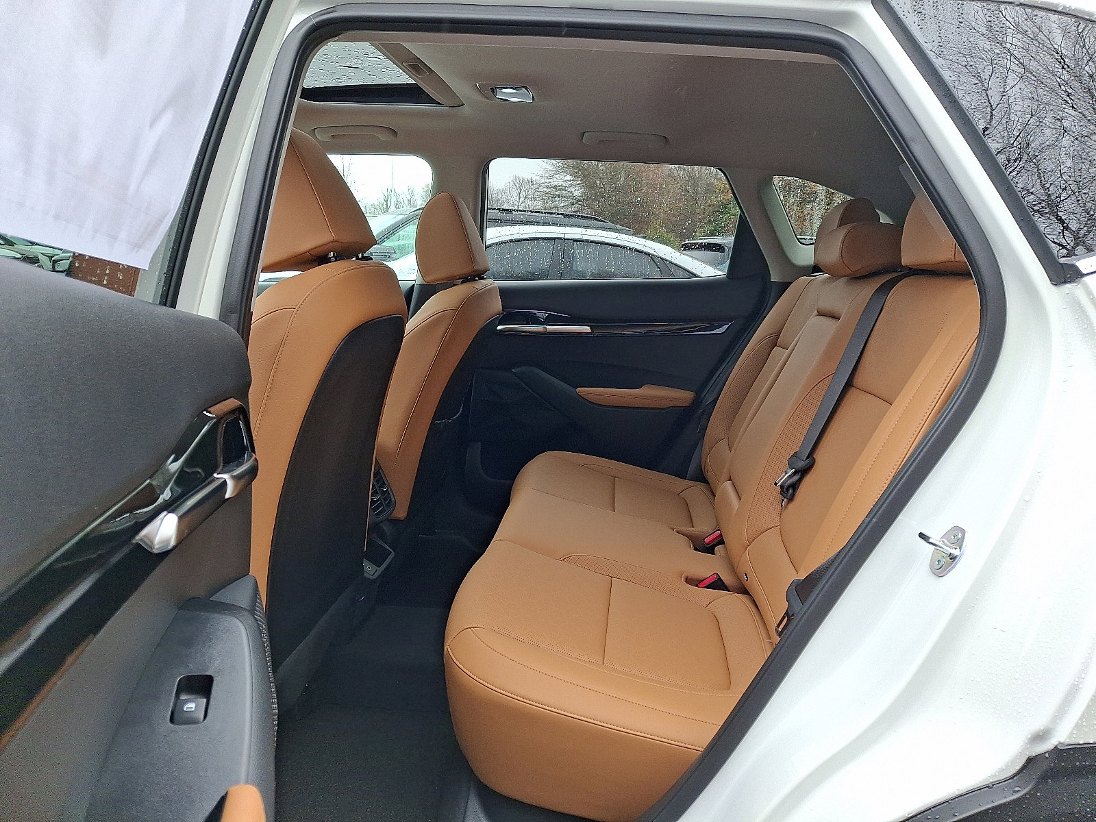 2026 Kia Seltos EX photo 3