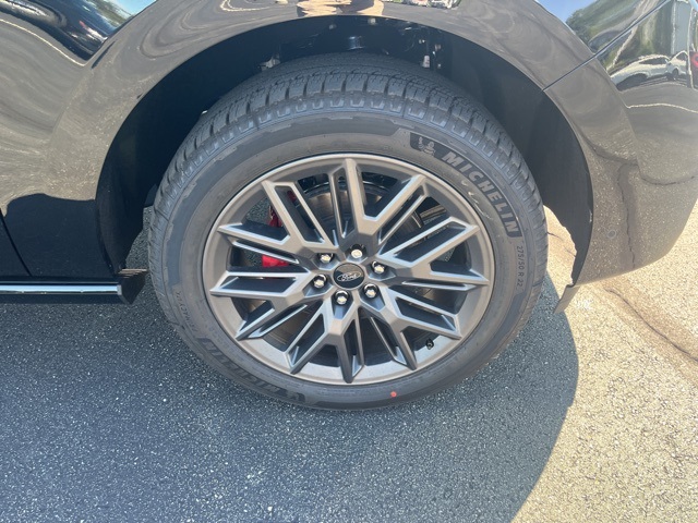 2025 Ford Expedition MAX Platinum photo 3