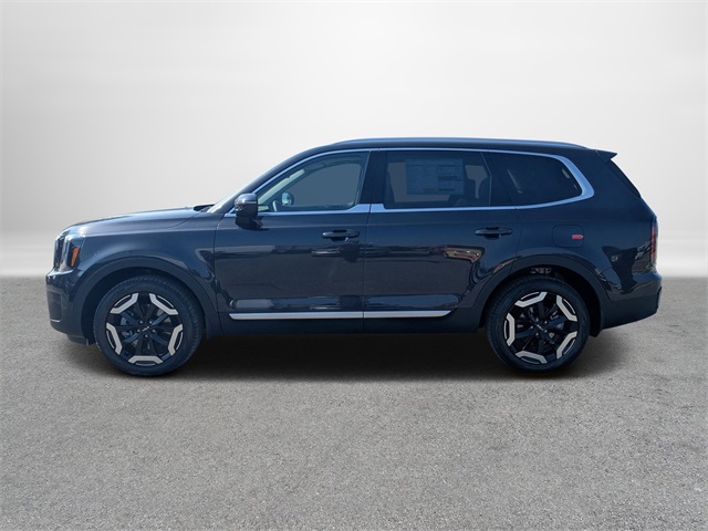 2025 Kia Telluride EX photo 6