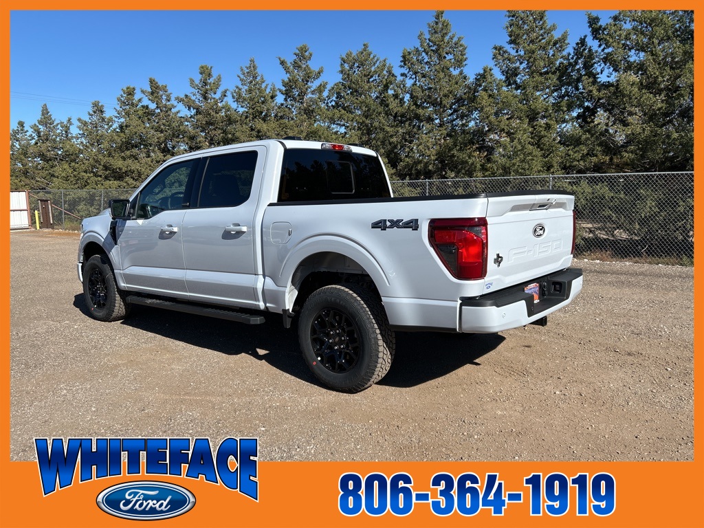 2025 Ford F-150 XLT photo 3