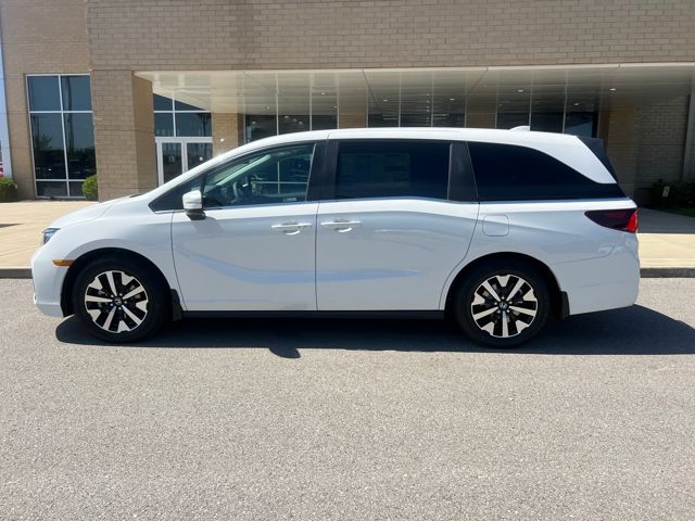 2026 Honda Odyssey EX-L photo 2
