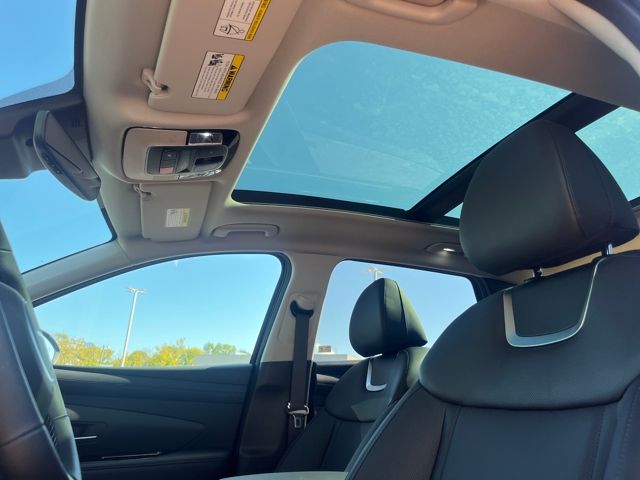 2025 Hyundai Tucson Hybrid Limited photo 14