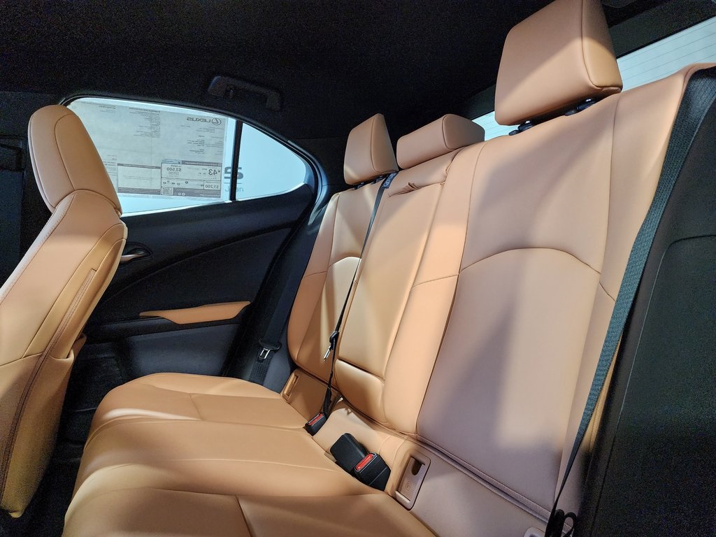 2025 Lexus UX photo 24