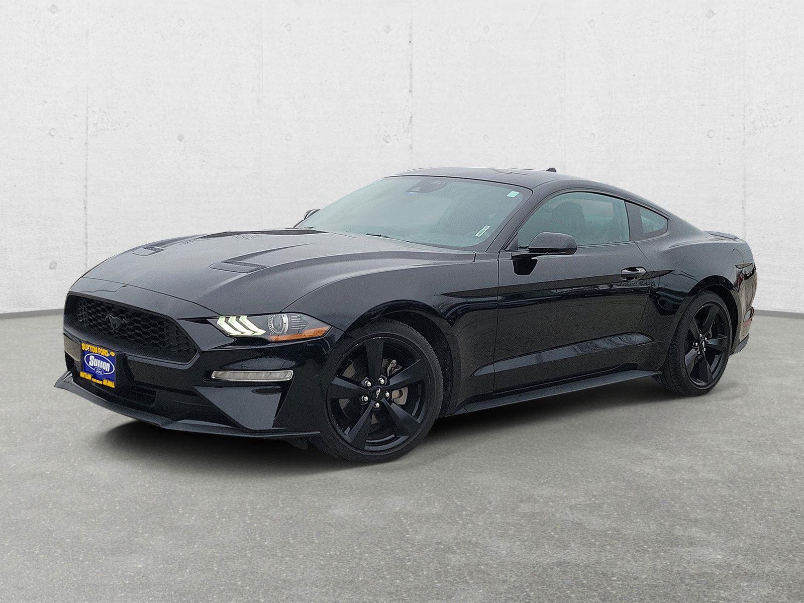 2022 Ford Mustang EcoBoost's photo