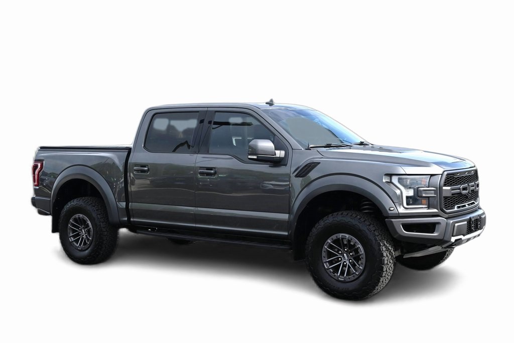 2019 Ford F-150 Raptor photo 2
