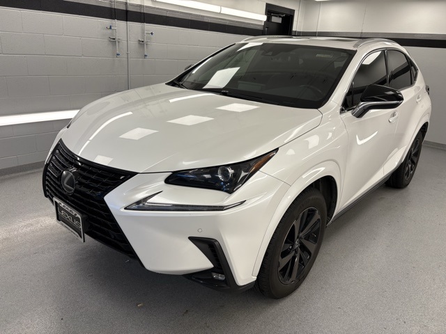 2020 Lexus NX 300's photo