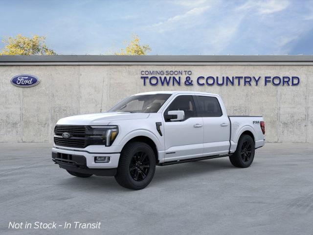 2025 Ford F-150 Platinum photo 19