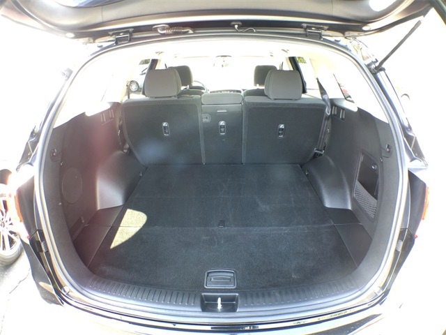 2017 Kia Sorento LX photo 12