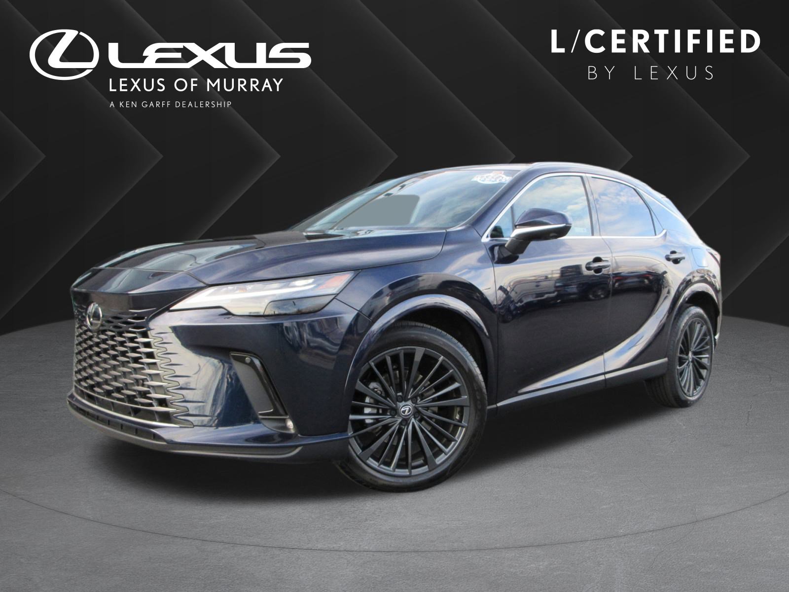 2025 Lexus RX 350's photo