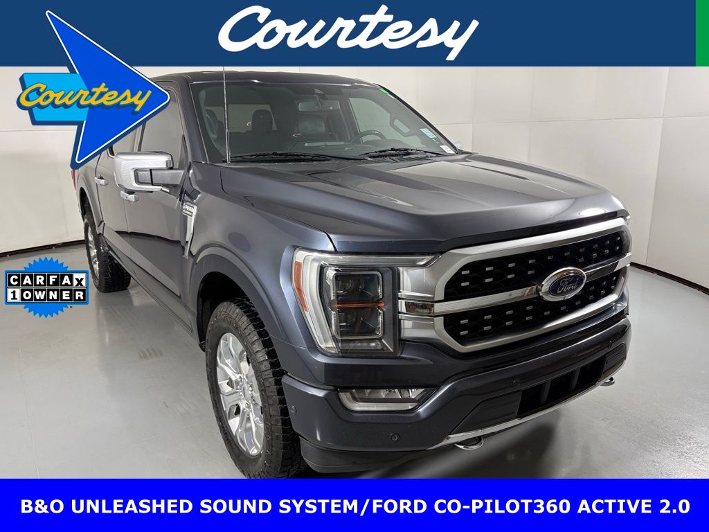 2021 Ford F-150 Platinum's photo