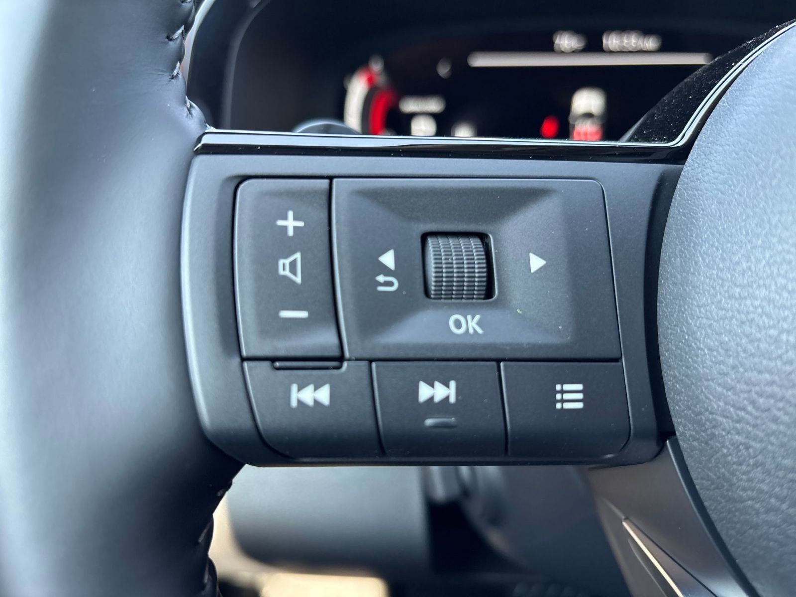 2025 Nissan Pathfinder Platinum photo 14