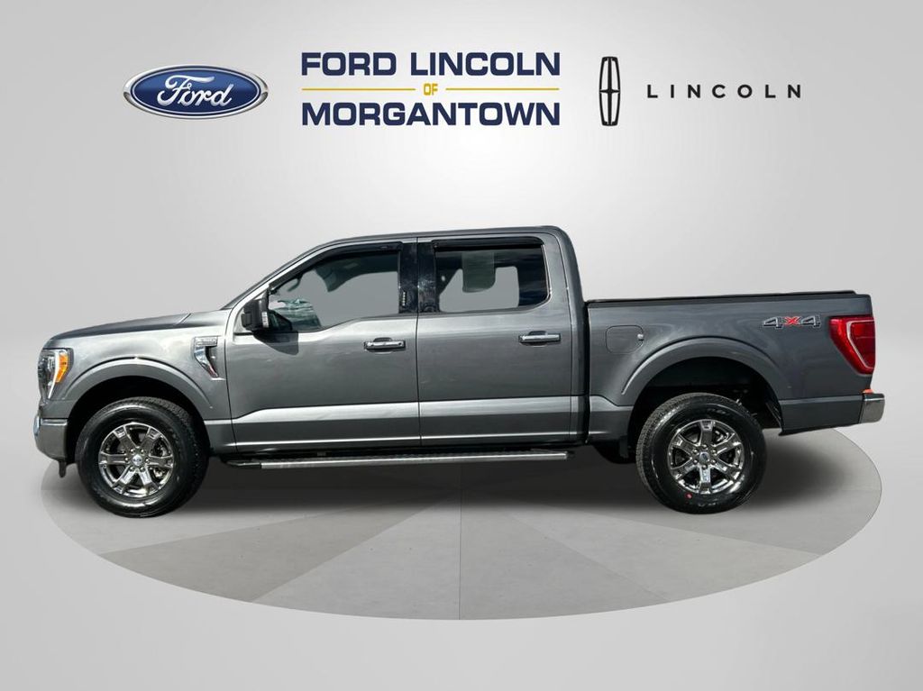 2023 Ford F-150 XLT's photo